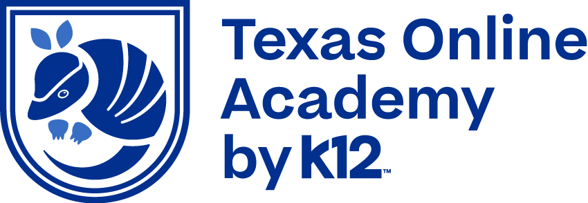 Texas Online Academy